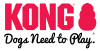 Kong Company